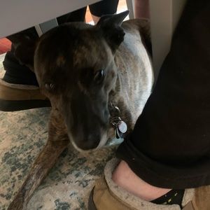 Meet your Posher, Sam